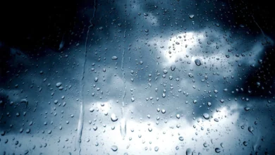 Forecasters predict above-average rainfall as Iraq emerges from driest year since 1933