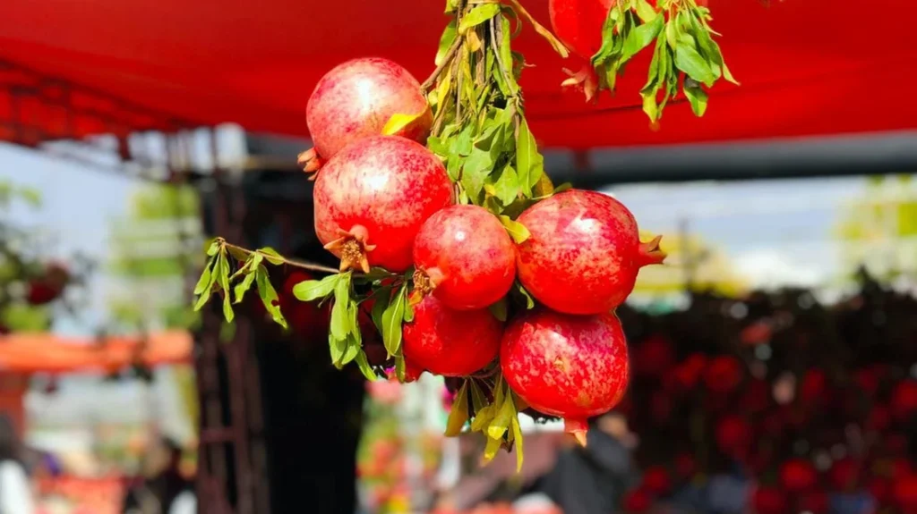 Halabja focuses on enhancing pomegranate production with specialized seminar