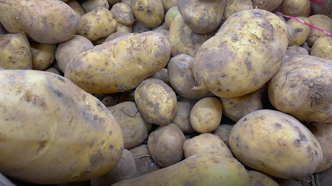 Potato cultivation dives as Duhok farmers call for import bans