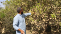 Salah Al-Din farmers fear extinction of rare Iraqi lemon as water scarcity and lack of support threaten production