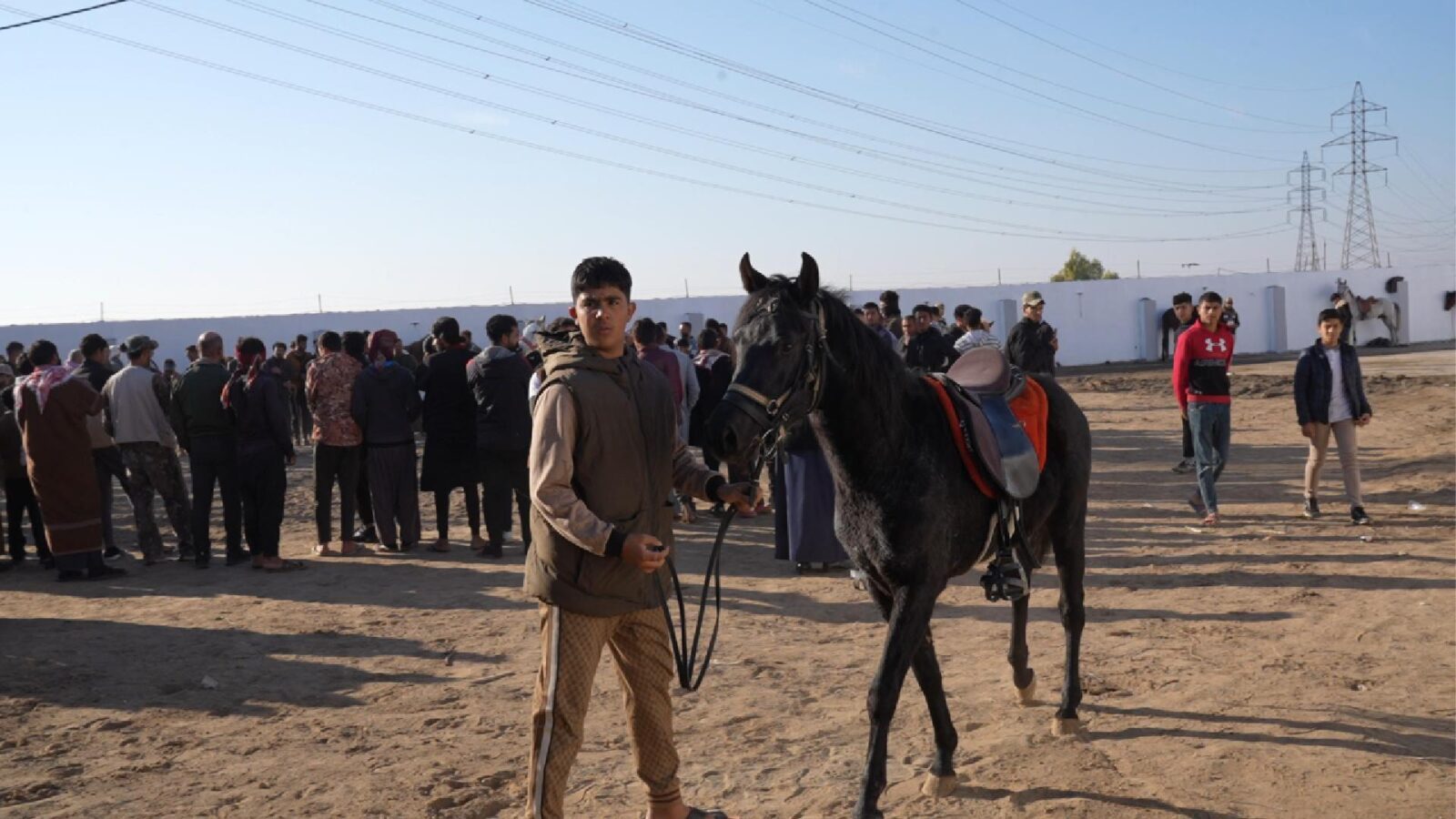 'First project of its kind': Horse auction initiative revitalizes Hawija’s equestrian scene