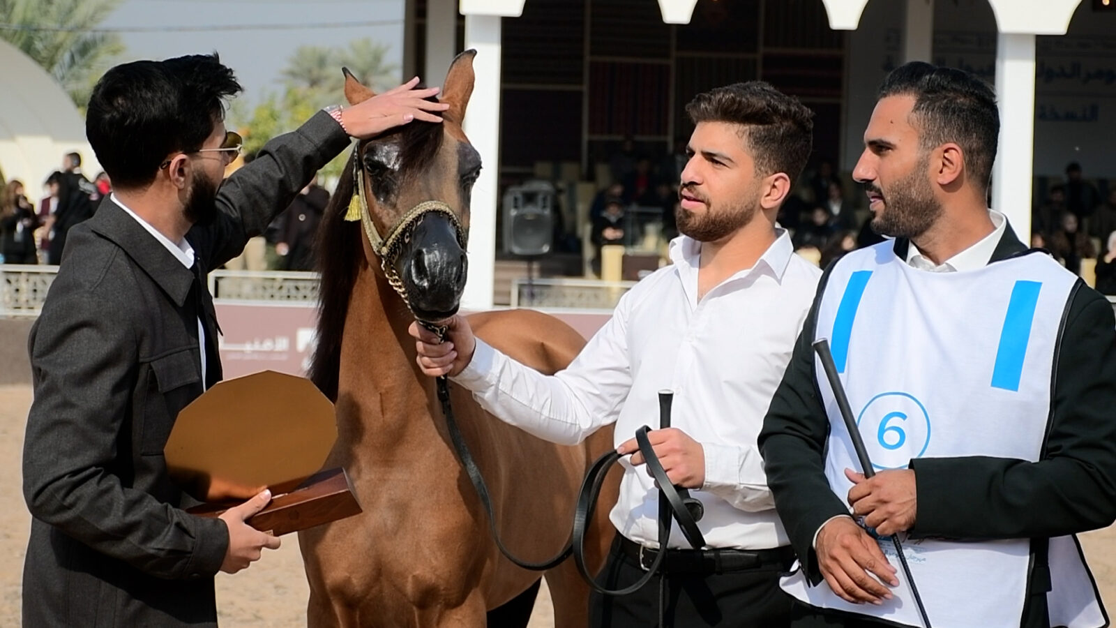 Baghdad hosts third Sumer International Arabian Horse Festival as calls for end to ban on Iraqi participation in global events grow