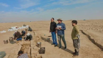 Antiquities inspector arrested over alleged extortion of foreign excavation missions