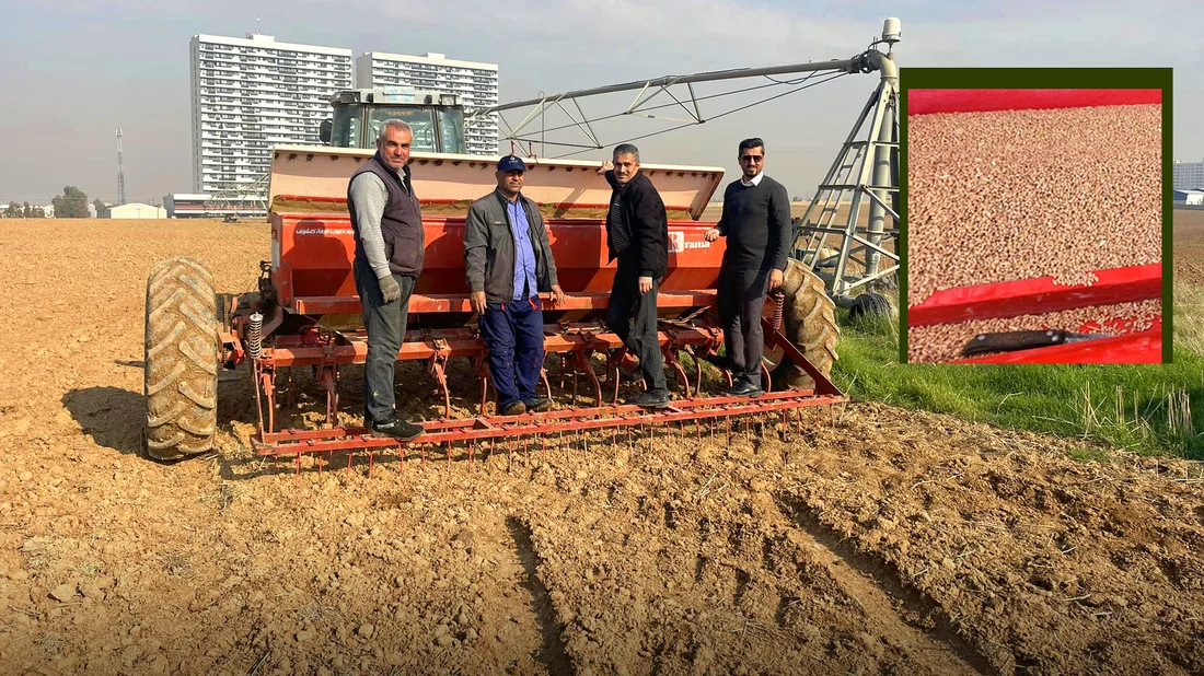 Erbil research center introduces eight new wheat and barley varieties