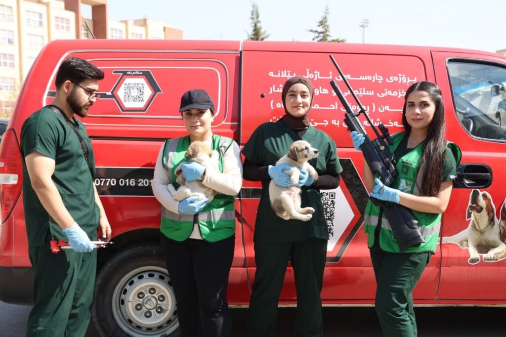 Sulaymaniyah veterinary students relocate stray dogs as part of animal welfare campaign