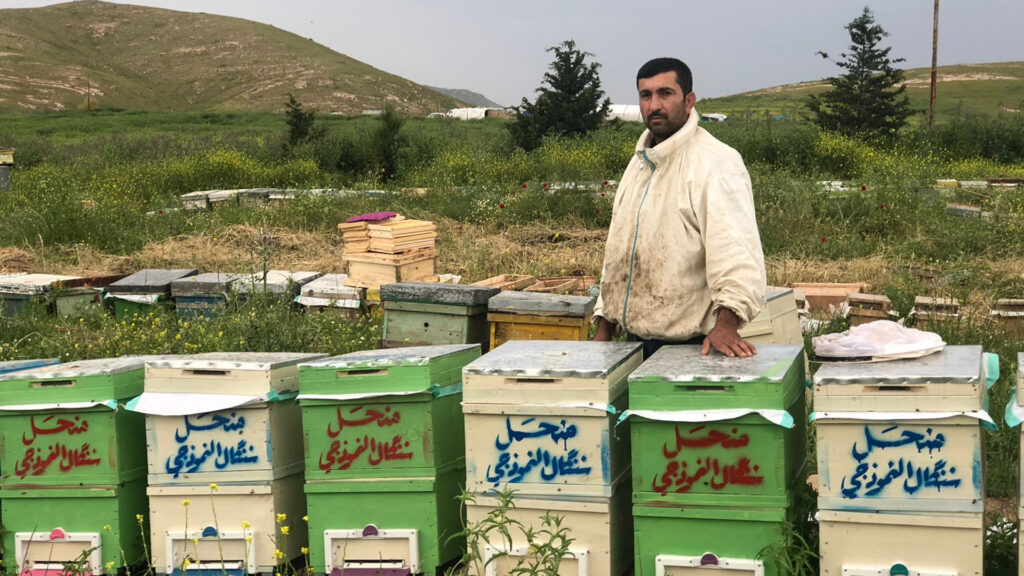 Beekeepers in Sinjar report drastic drop in honey production due to poor weather conditions