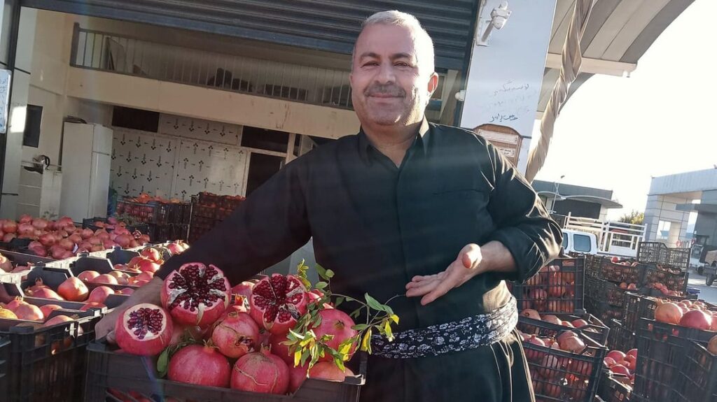 Halabja’s iconic Salahkani pomegranates reach Kurdistan Region and Iraqi markets