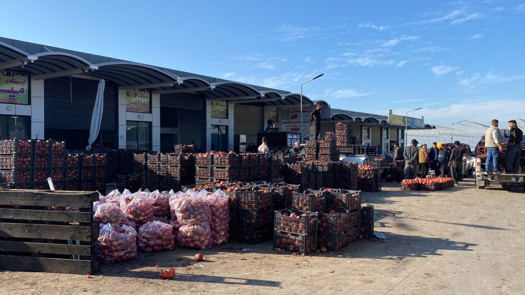 Halabja farmers turn to molasses production as pomegranates face risk of spoilage