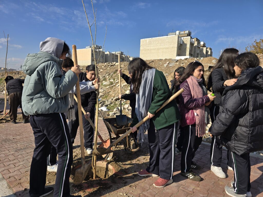 Sulaymaniyah launches initiative to plant 550 mulberry trees