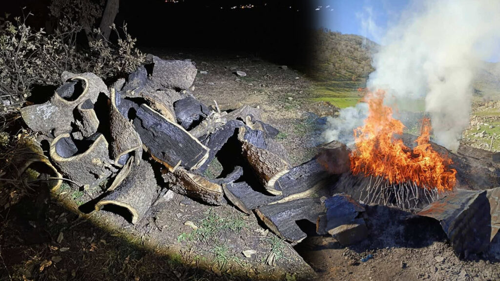 Authorities destroy four charcoal production pits in Sulaymaniyah