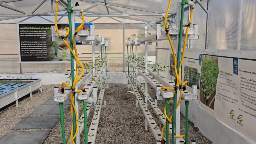 Sustainable smart farm opens in Dhi Qar, introducing contemporary agriculture