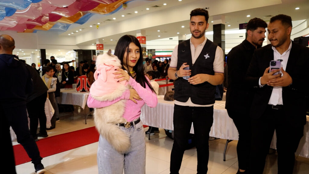 Kirkuk event hosts over 190 cats for feline festivities