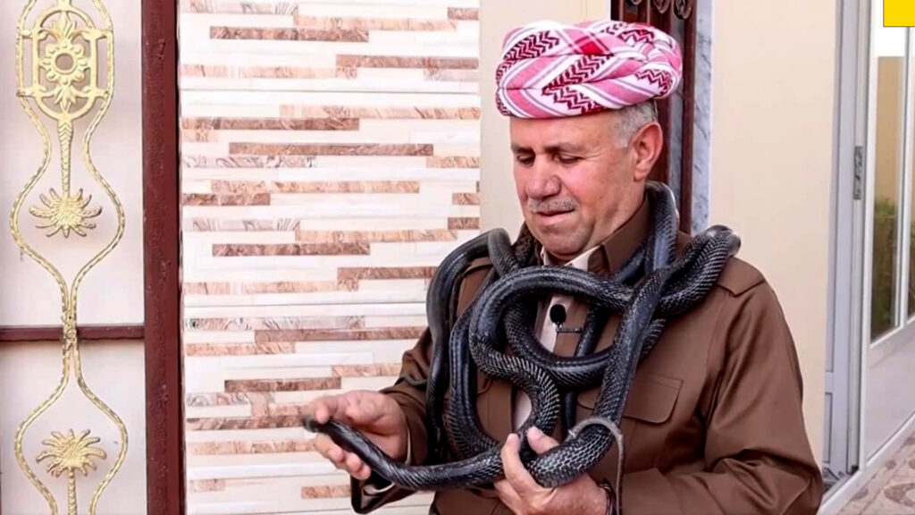 Renowned snake handler passes away, leaving behind a legacy of care