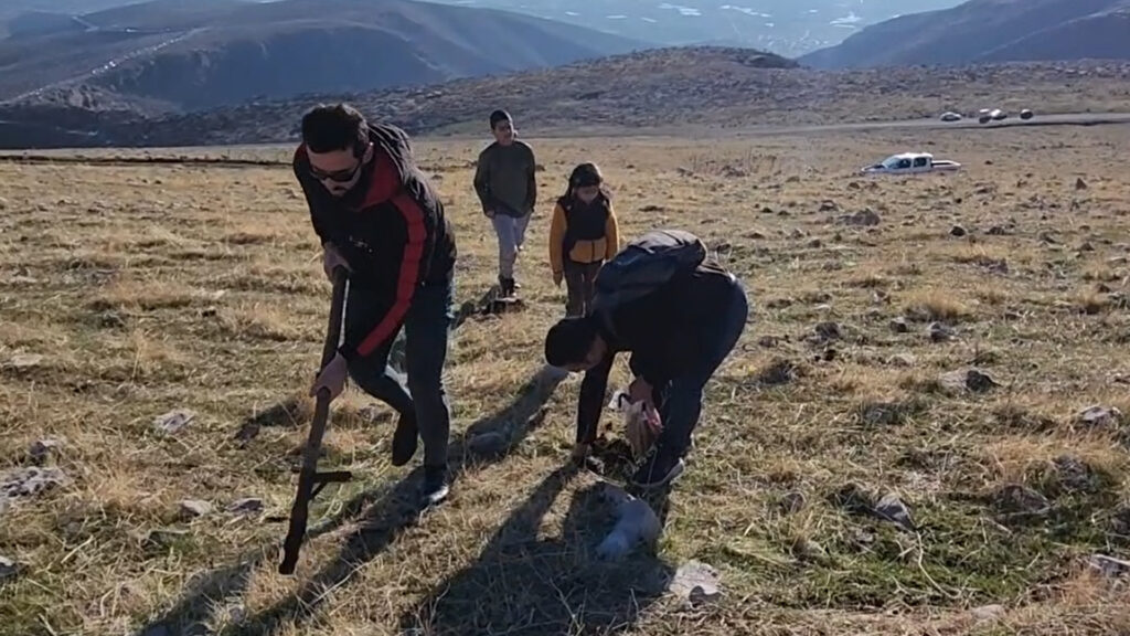 Environmental activists plant thousands of wild herbs and trees in Sulaymaniyah’s Haji Awa mountains