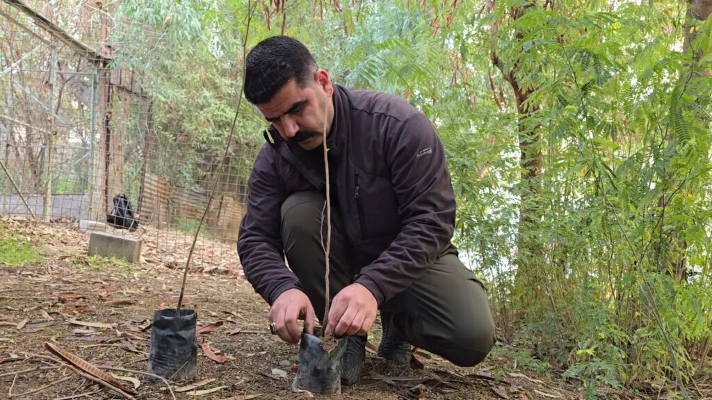 Mosul resident transforms neglected land into thriving green space