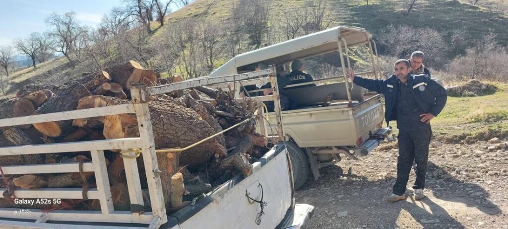 Three individuals arrested for illegal tree felling in Sulaymaniyah