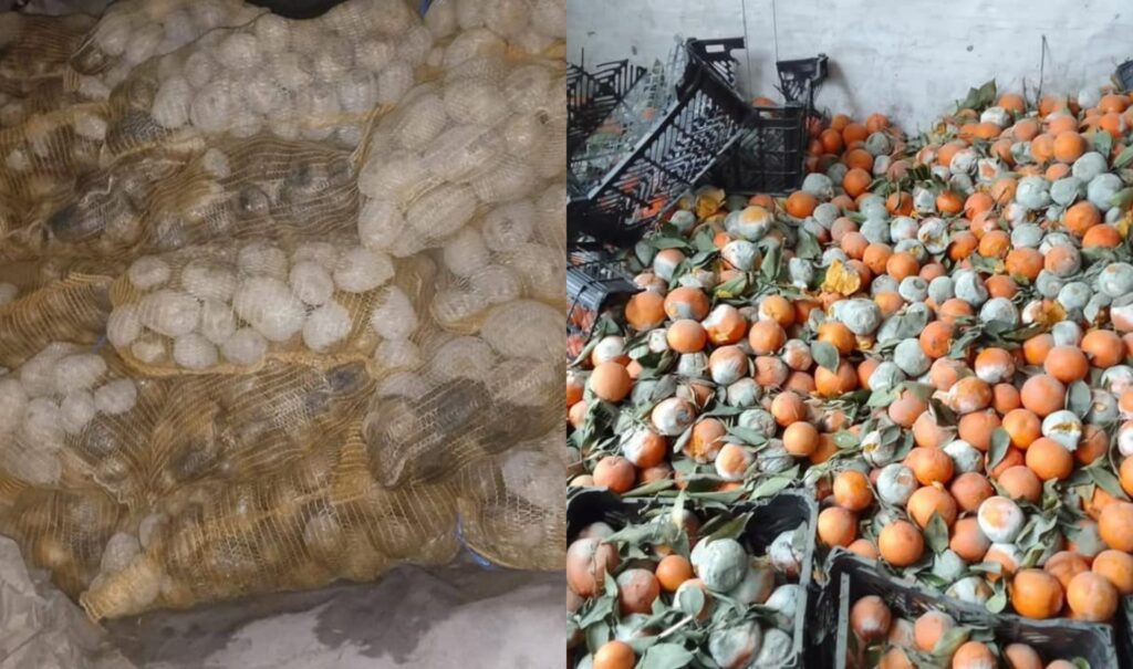 Kalar checkpoint seizes 32 tons of spoiled produce in 2025